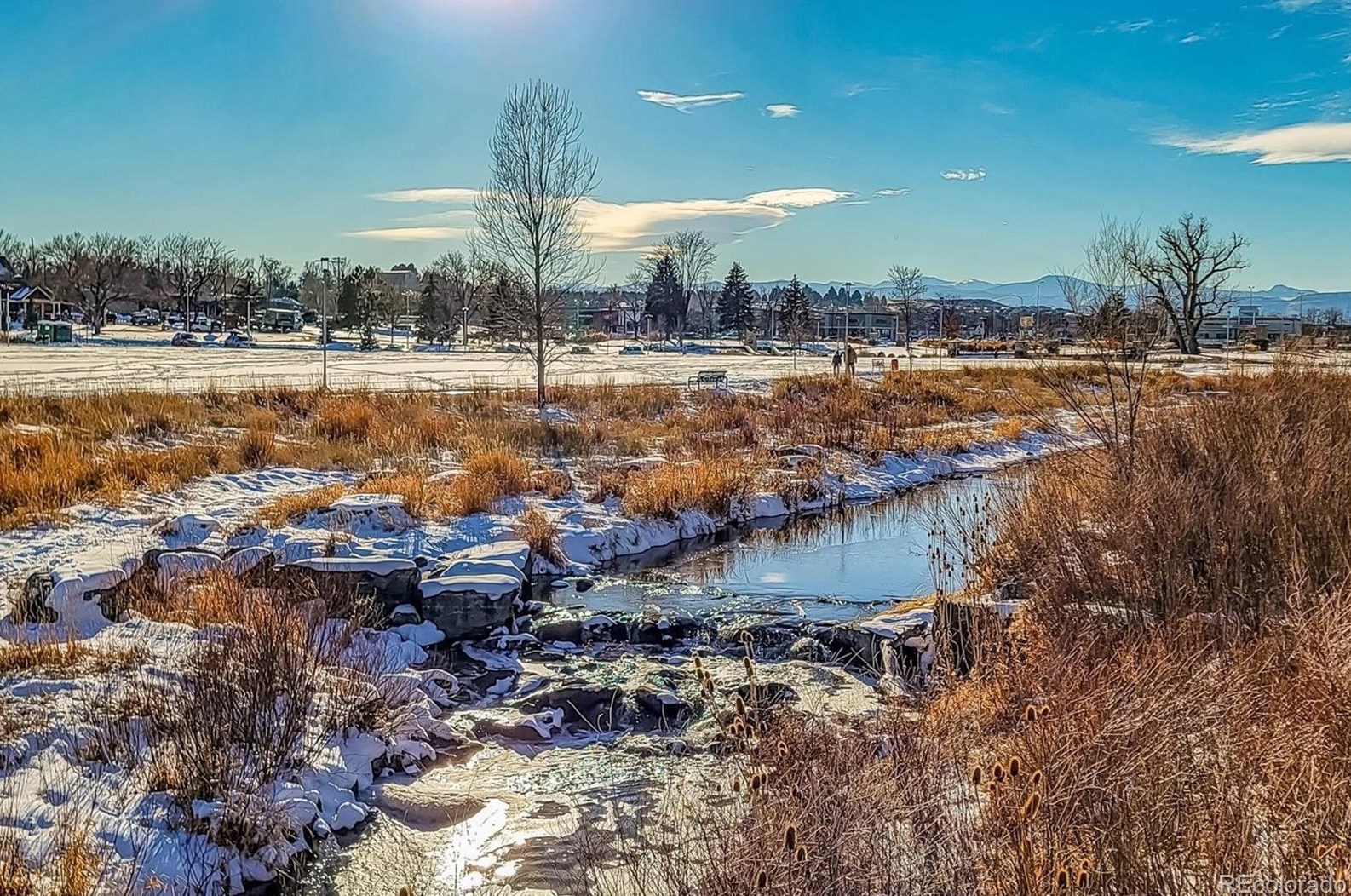 6072 Fld St, Arvada CO  80004-5332 exterior