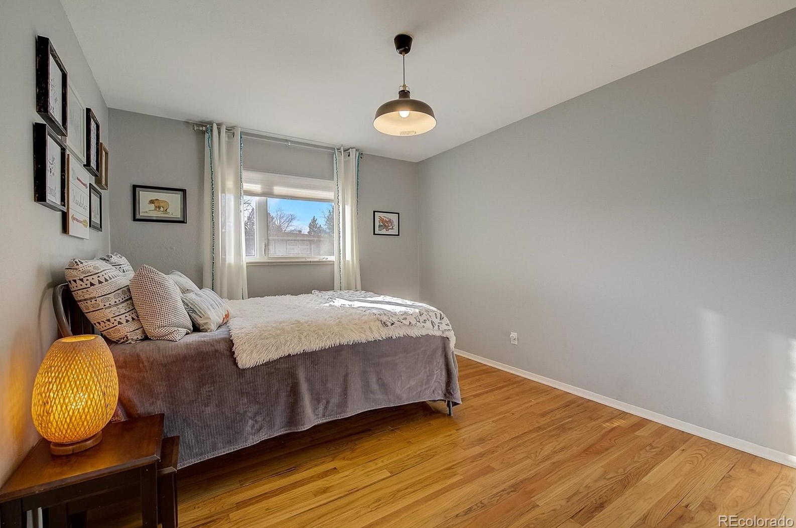 5900 Race St, Littleton CO 80121-2652 exterior