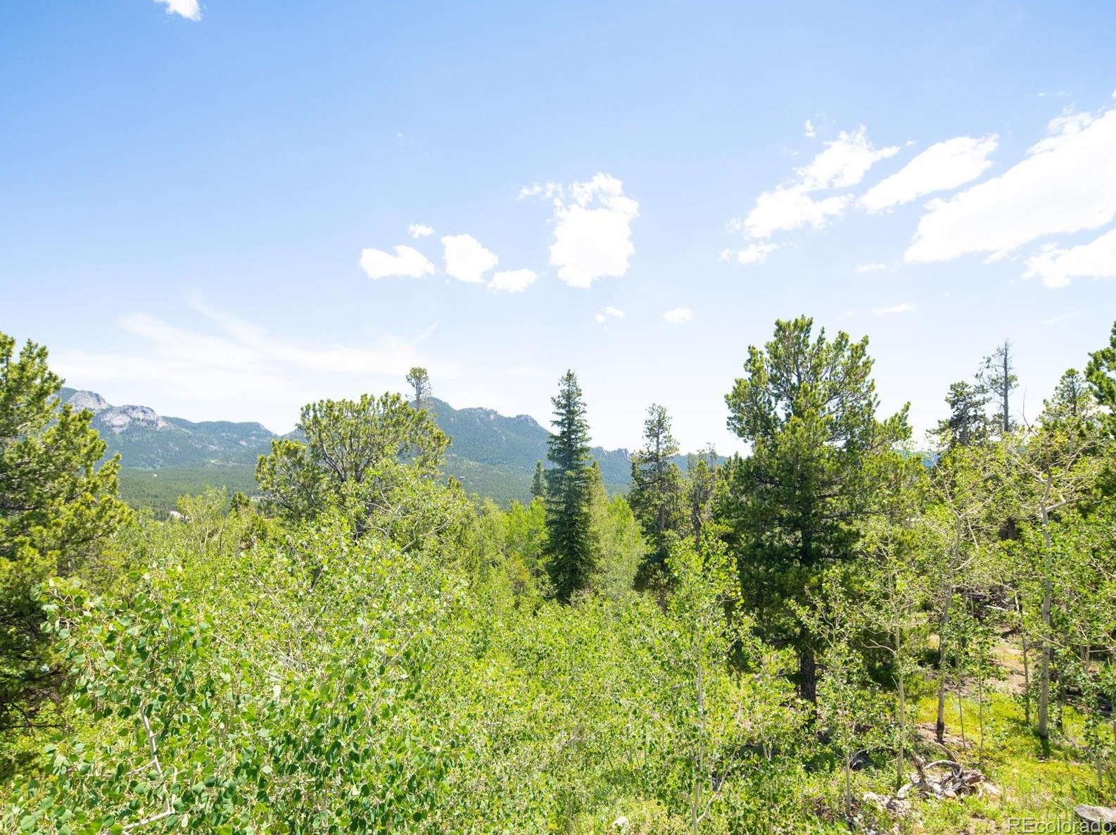 68 Athena Rd, Arvada CO  80422-4019 exterior