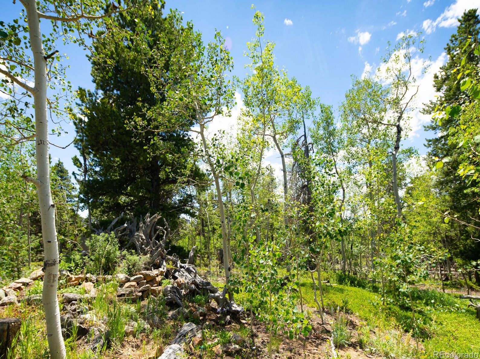 68 Athena Rd, Arvada CO  80422-4019 exterior