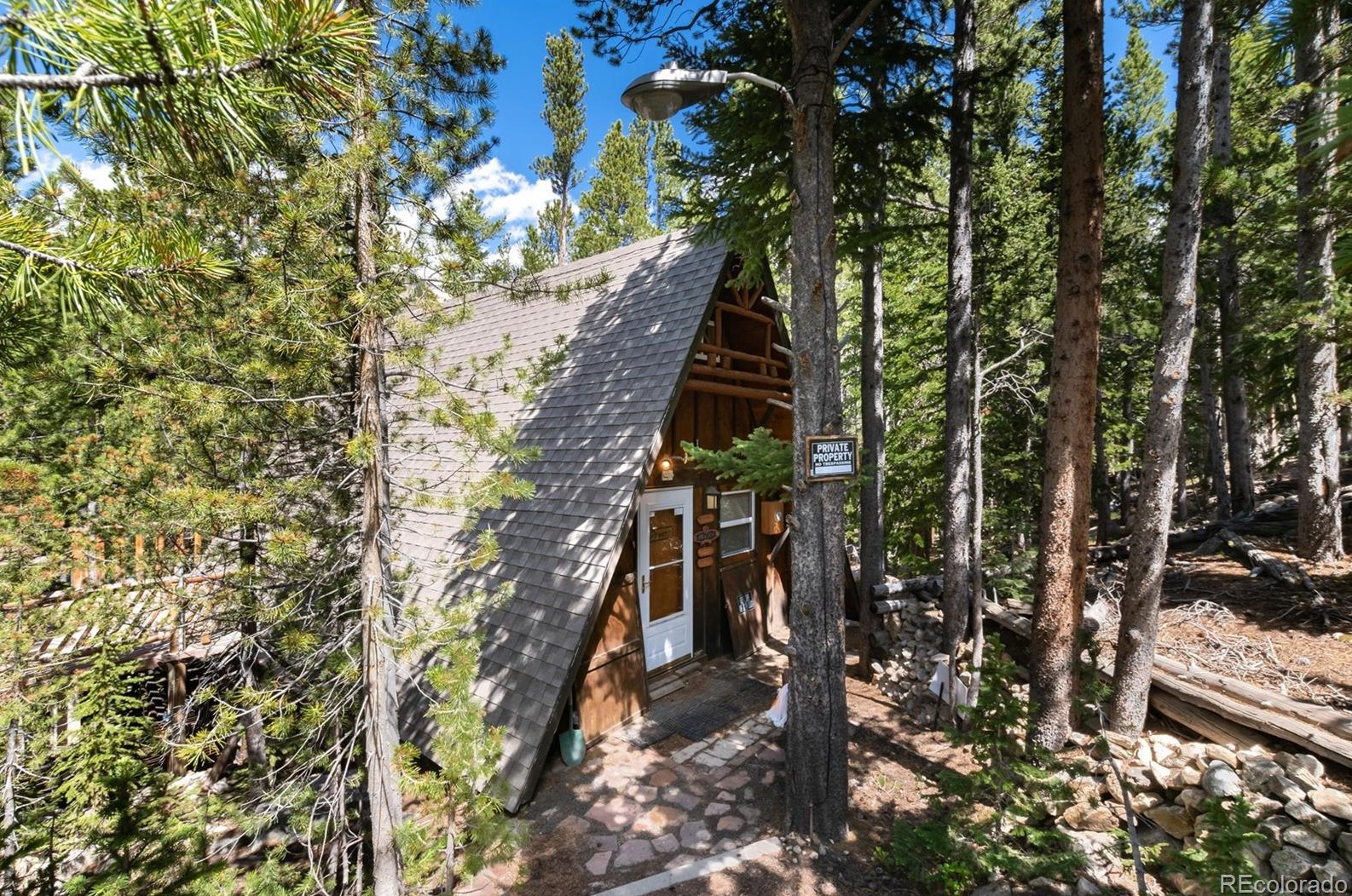 199 Crest Dr, Idaho Springs, CO 80452-9709