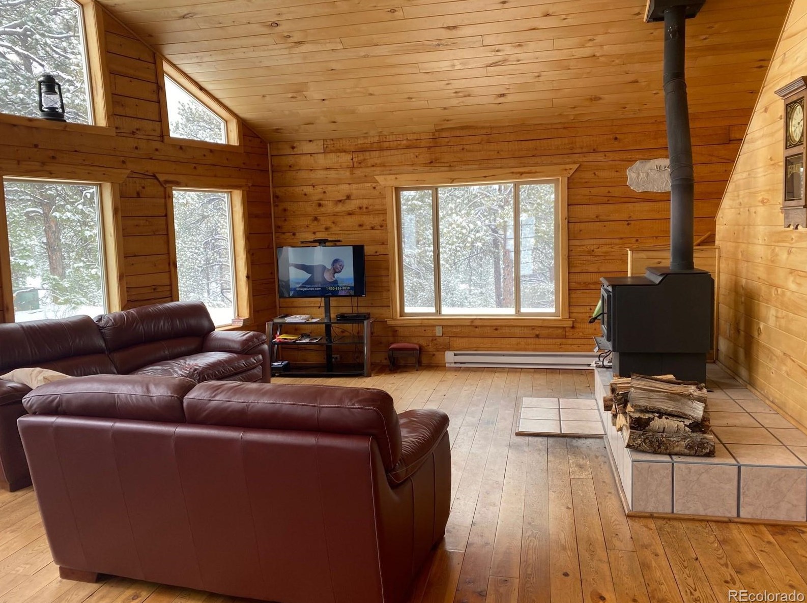 580 Shy Cir, Horn Creek, CO 81252