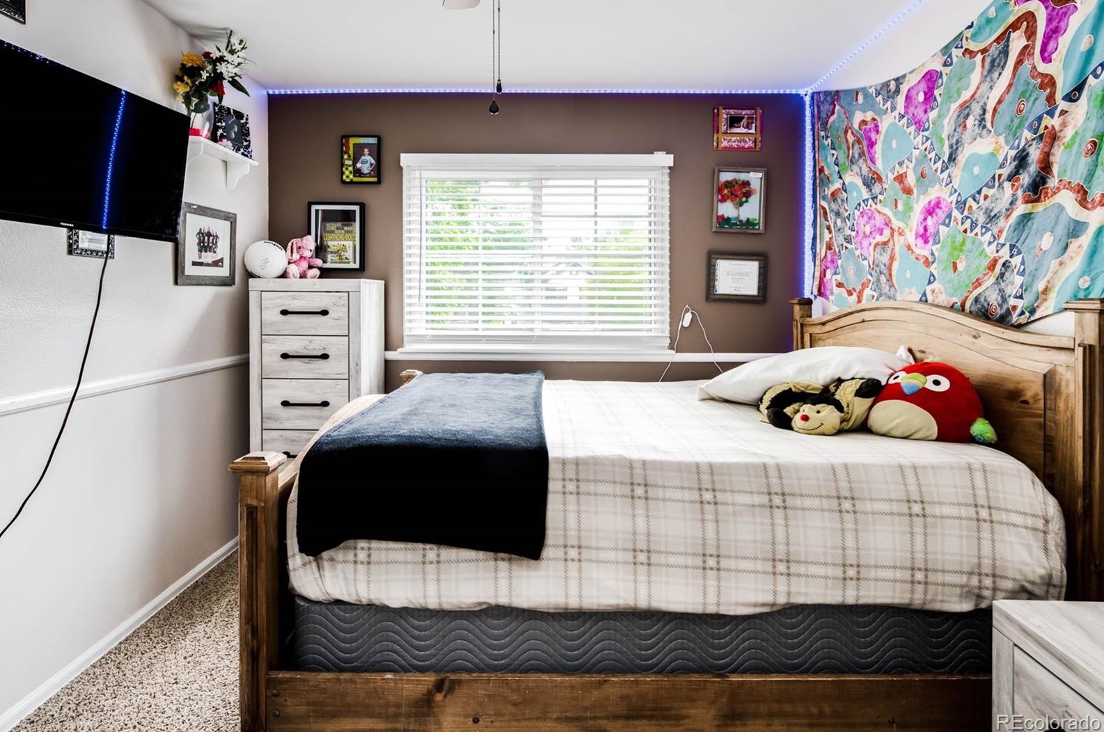 763 Wedgewood Ct, Littleton CO exterior