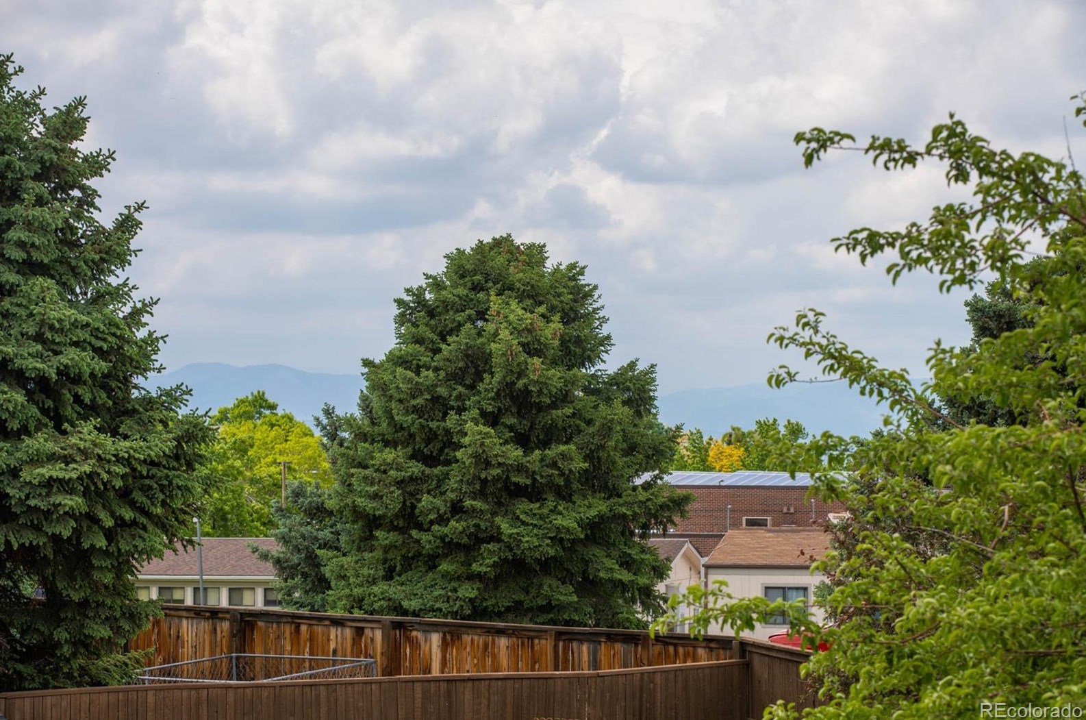 763 Wedgewood Ct, Littleton CO exterior