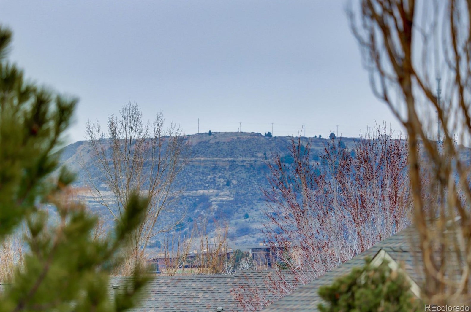 3737 Black Feather Trl, Castle Rock CO  80104-7833 exterior