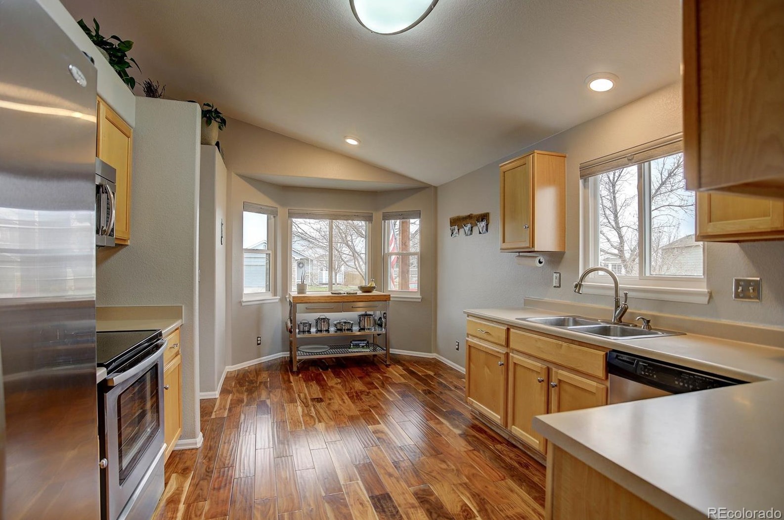 3737 Black Feather Trl, Castle Rock CO  80104-7833 exterior