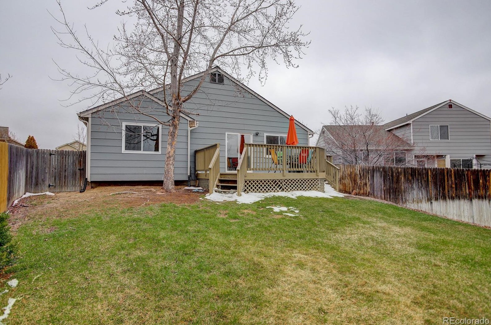 3737 Black Feather Trl, Castle Rock CO  80104-7833 exterior