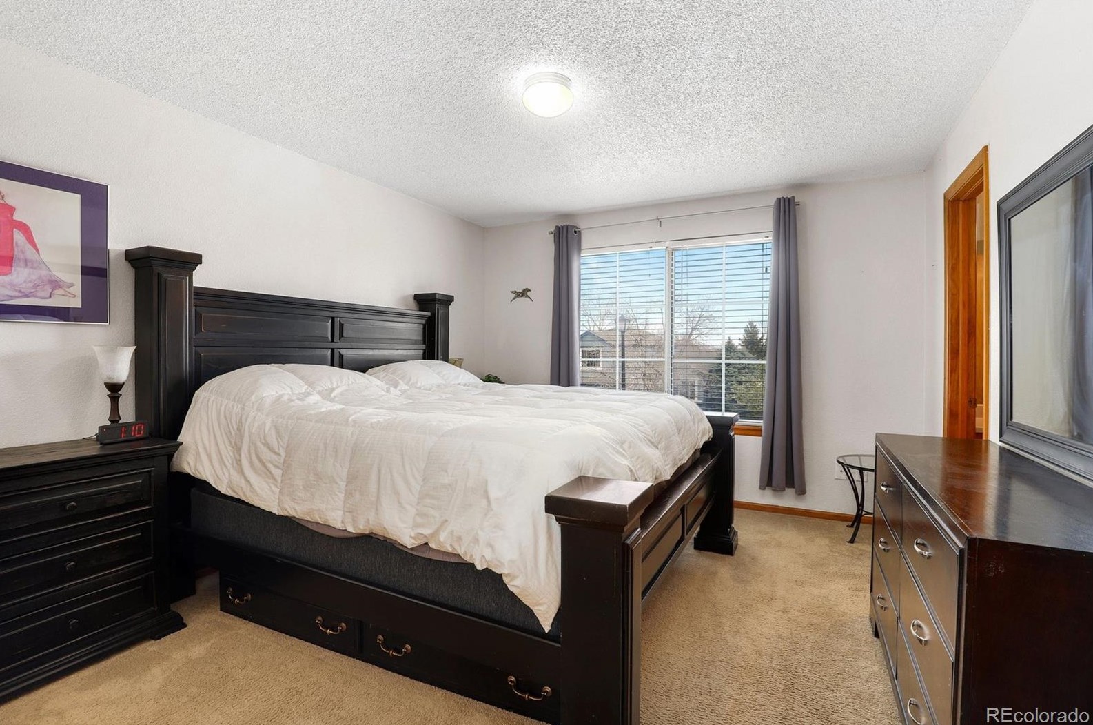 10511 Hyacinth St, Littleton CO  80129-4677 exterior