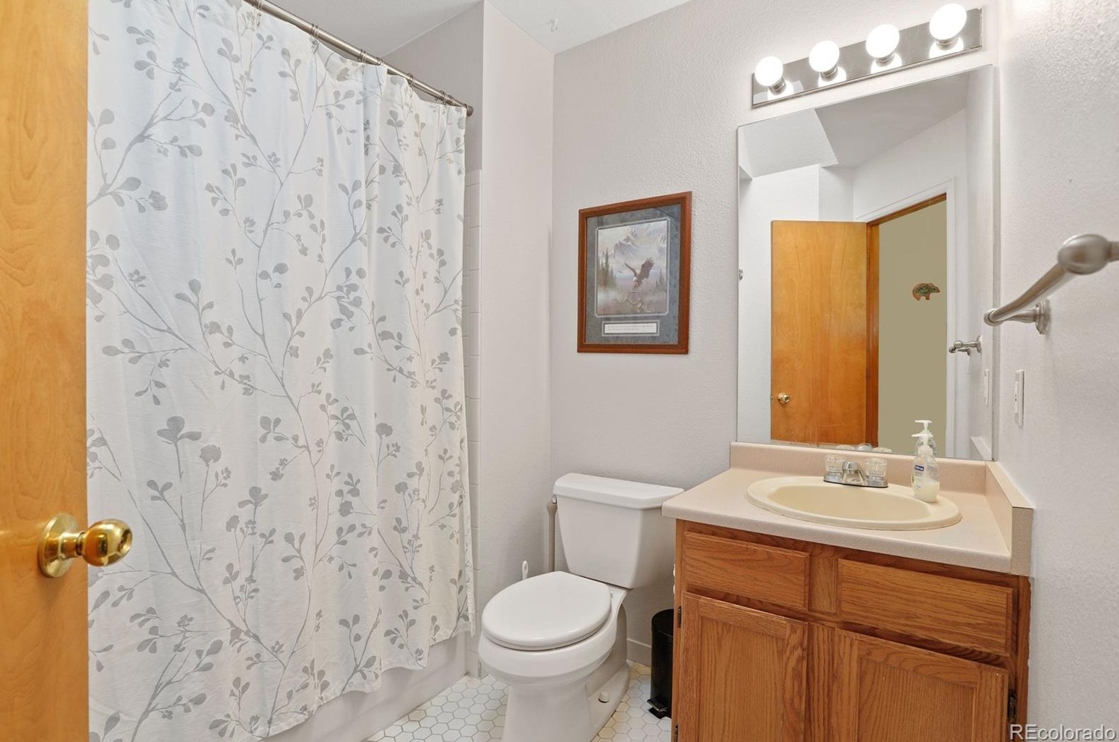 10511 Hyacinth St, Littleton CO  80129-4677 exterior