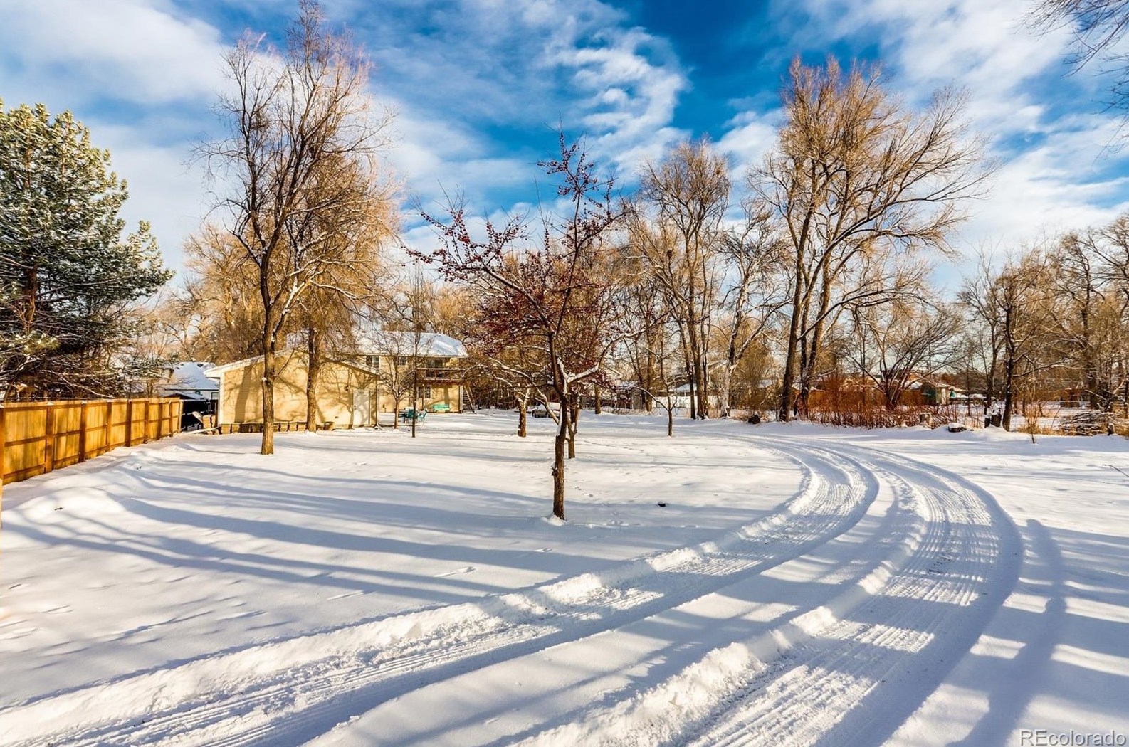 4995 Carr St, Arvada CO  80004-3338 exterior