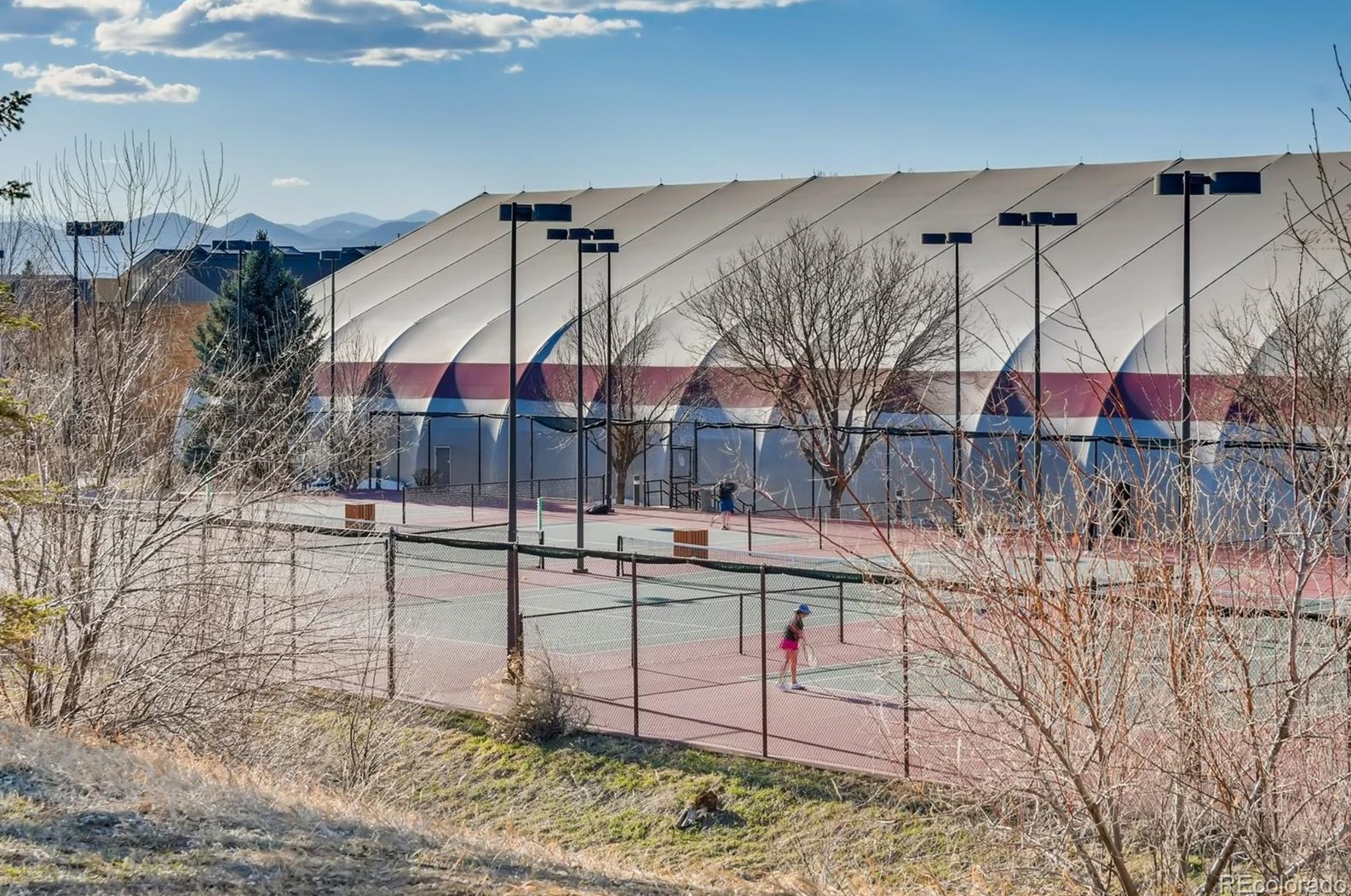 9351 Balsam Ct, Littleton CO 80128-5541 exterior