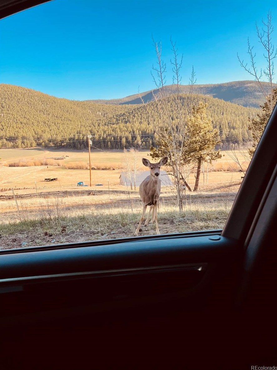 387 Ward St, Bailey CO  80421-1453 exterior