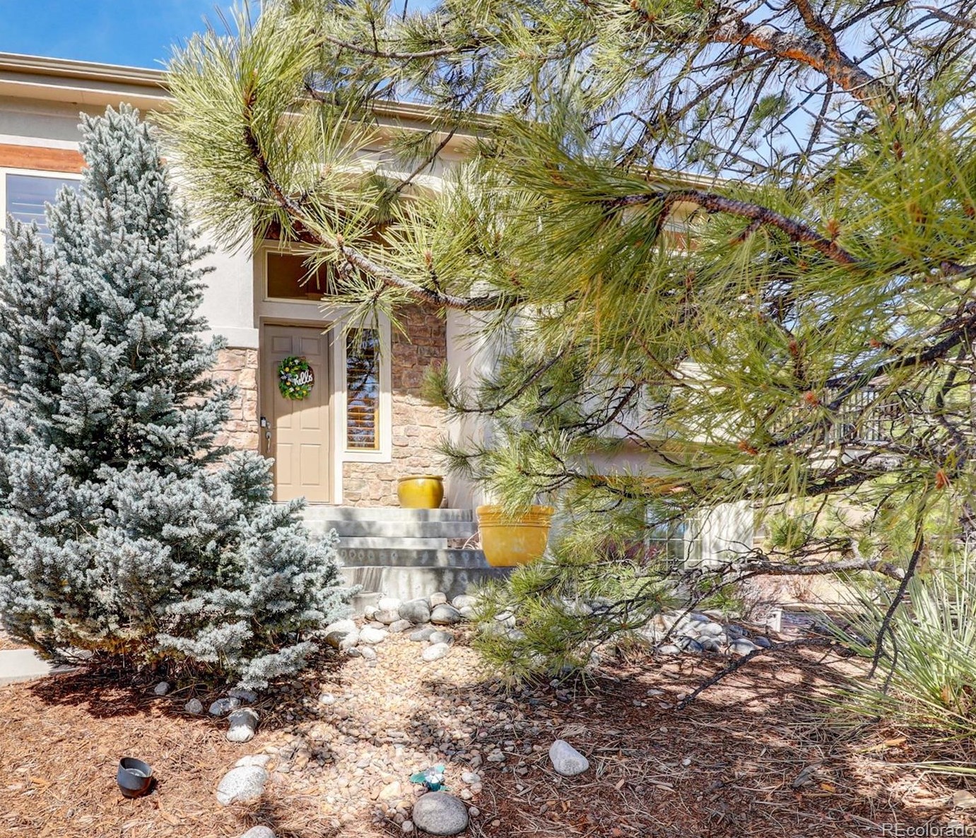 1319 Frst Trl Dr, Castle Rock CO 80108-8280 exterior