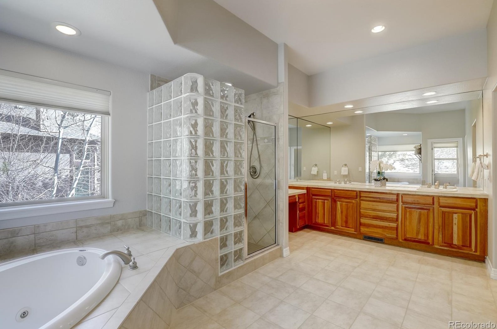 1319 Frst Trl Dr, Castle Rock CO 80108-8280 exterior