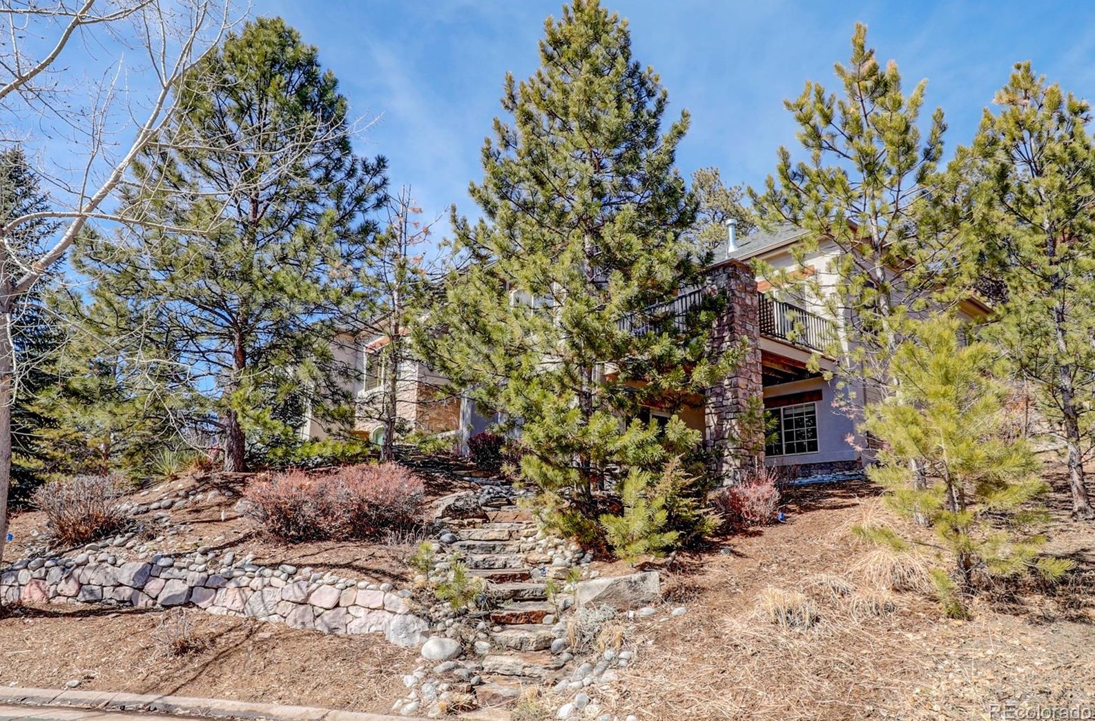 1319 Frst Trl Dr, Castle Rock CO 80108-8280 exterior