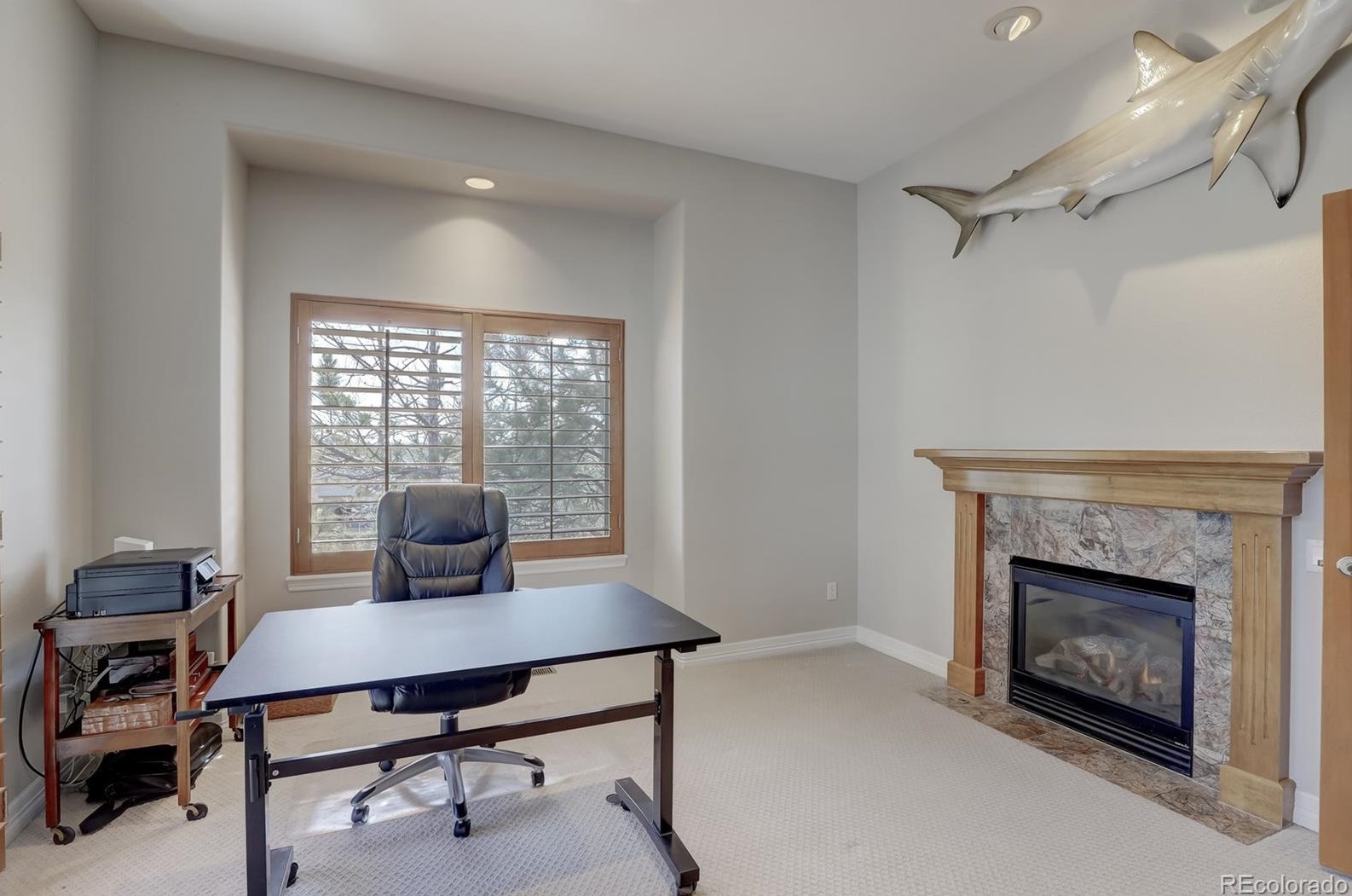 1319 Frst Trl Dr, Castle Rock CO 80108-8280 exterior