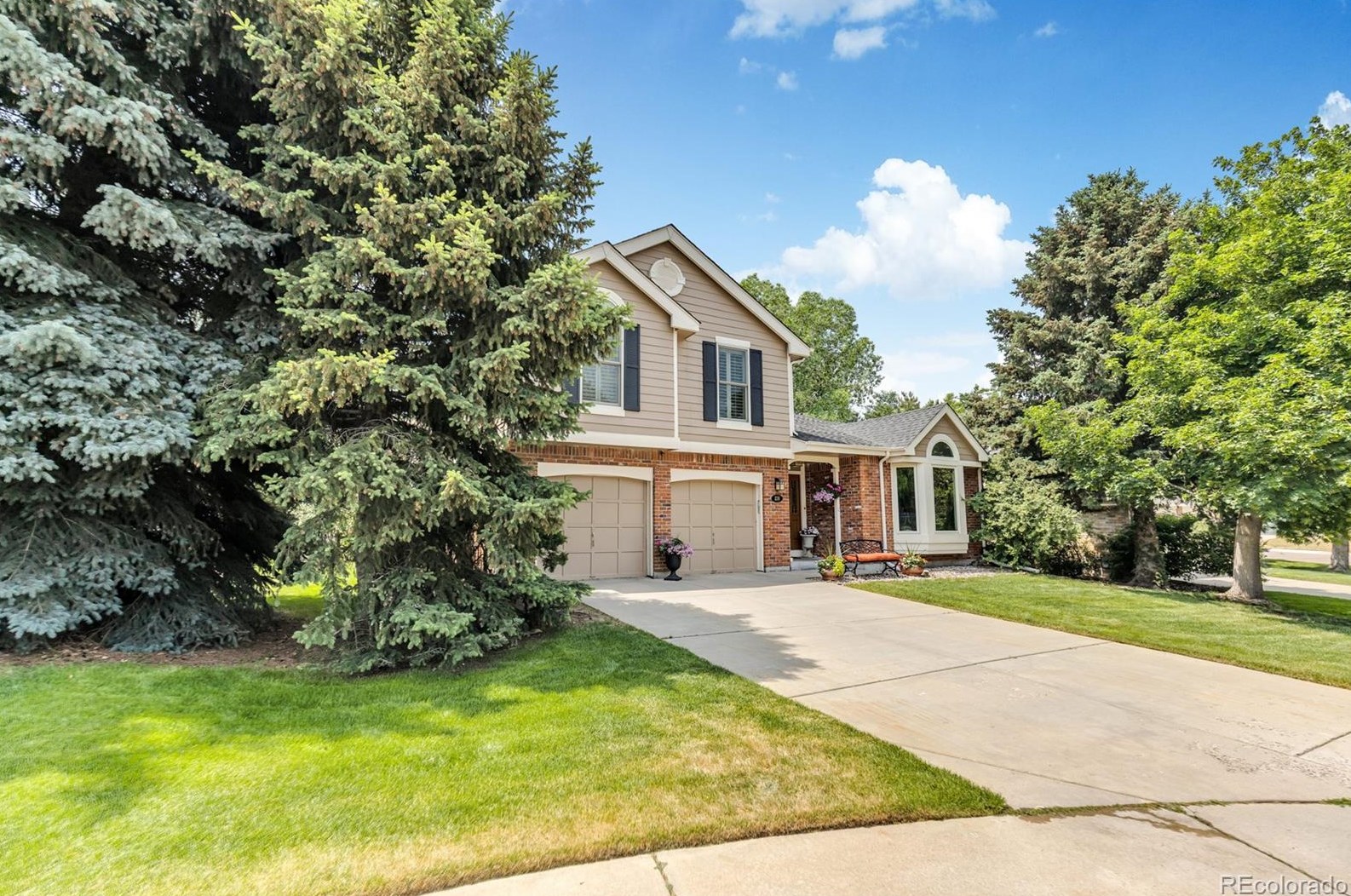 230 Corby Ct, Castle Rock, CO 80108-8825