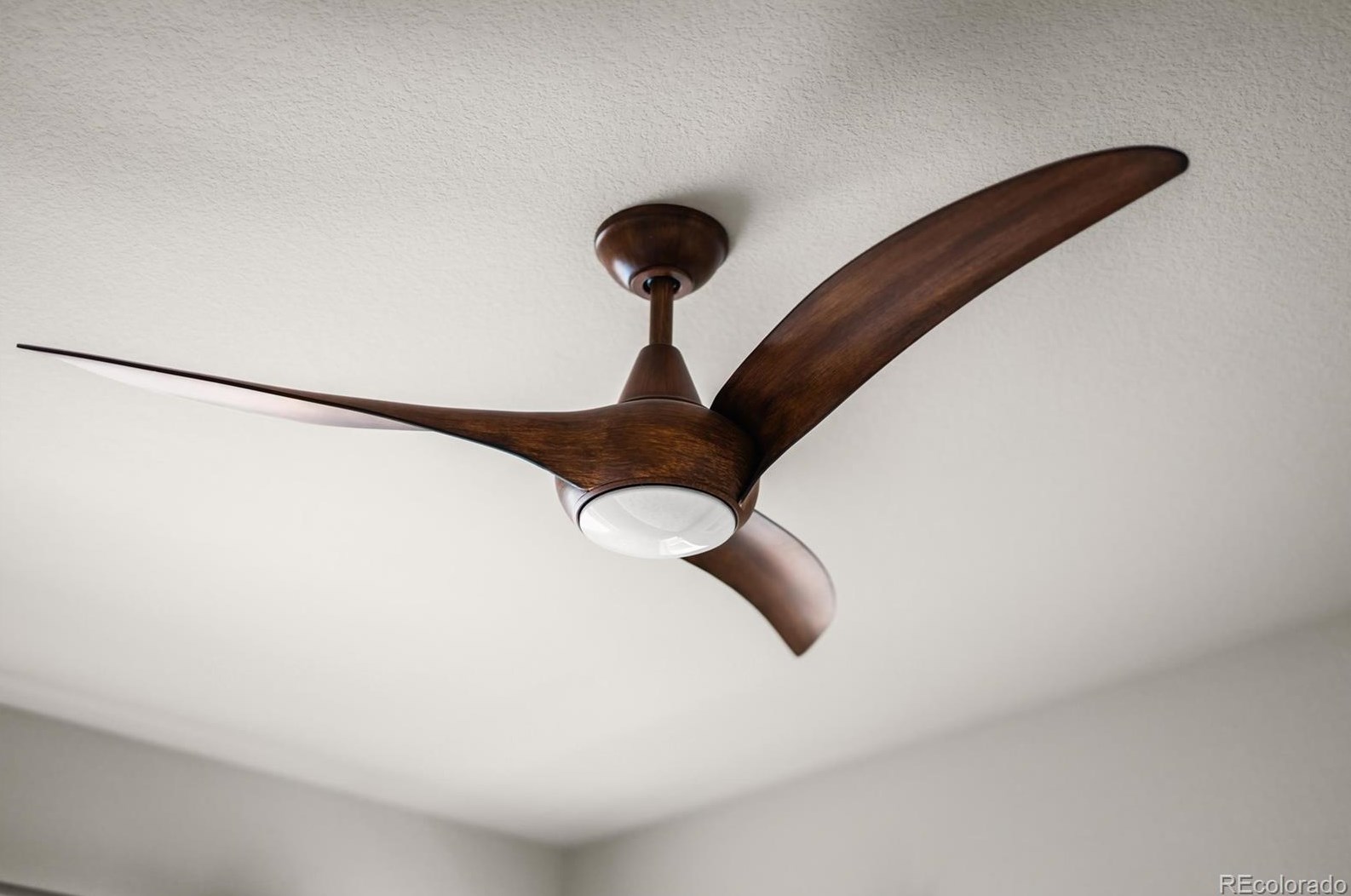 11782 Quarles Ave, Littleton CO 80127 exterior