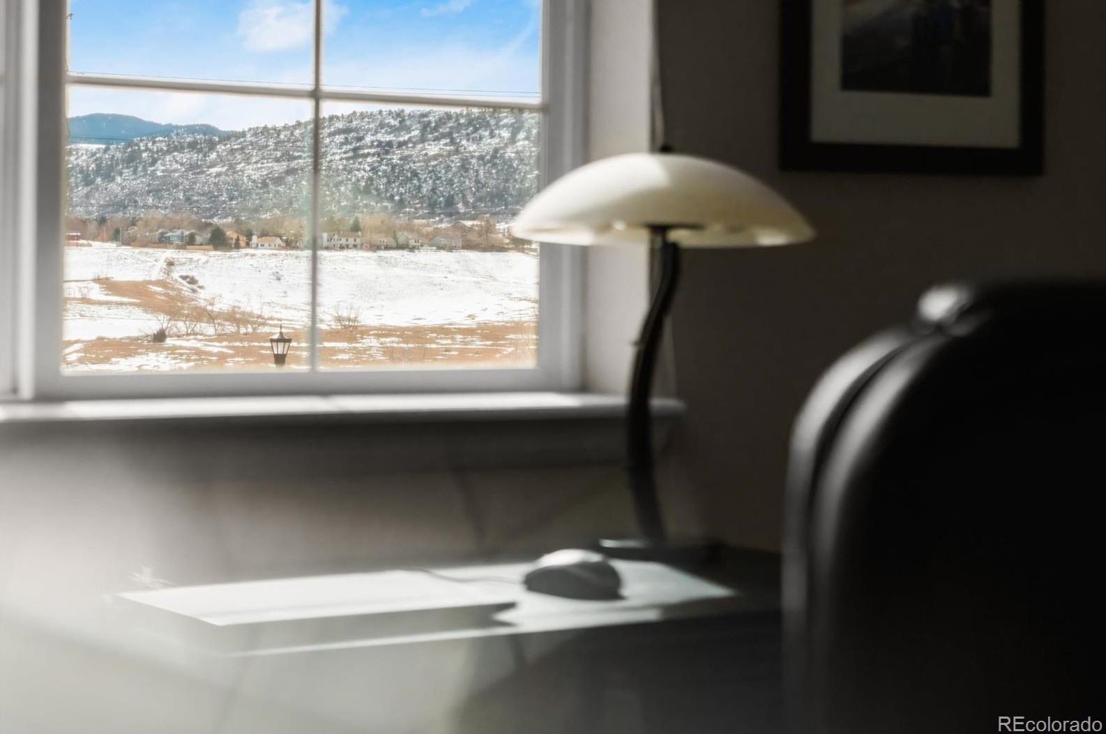 11782 Quarles Ave, Littleton CO 80127 exterior