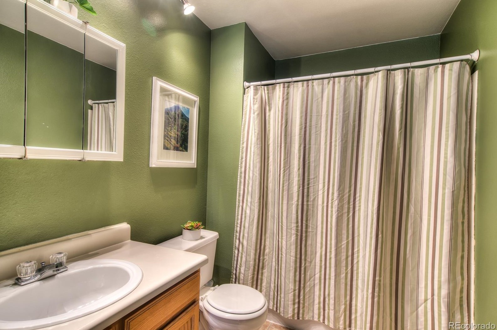 96 Amherst St, Castle Rock CO 80104-8953 exterior