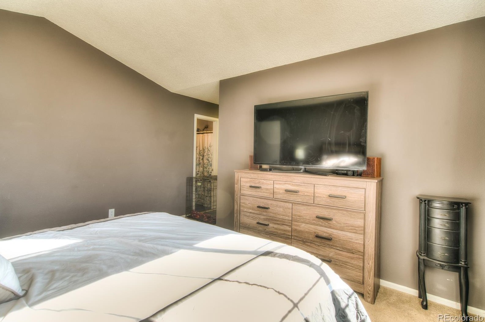 96 Amherst St, Castle Rock CO 80104-8953 exterior