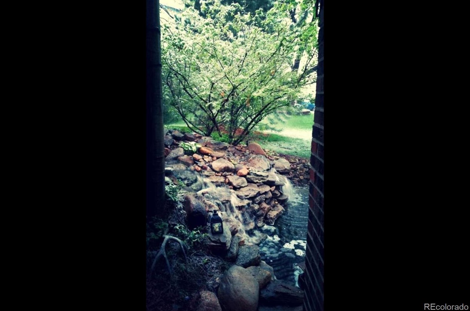 696 Altair Dr, Littleton CO 80124-2502 exterior