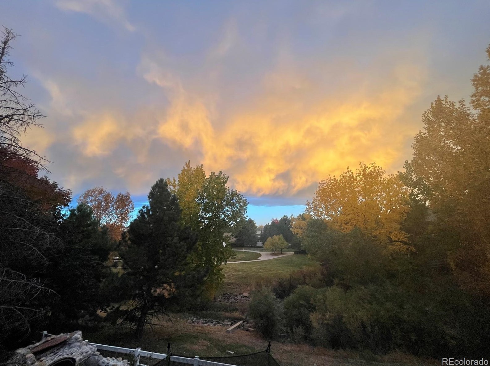 10019 Longview Dr, Littleton CO 80124-9750 exterior