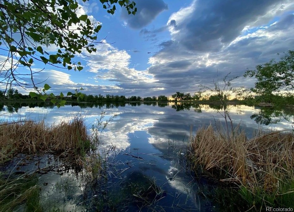 9649 Jellison Way, Littleton CO 80123-1181 exterior