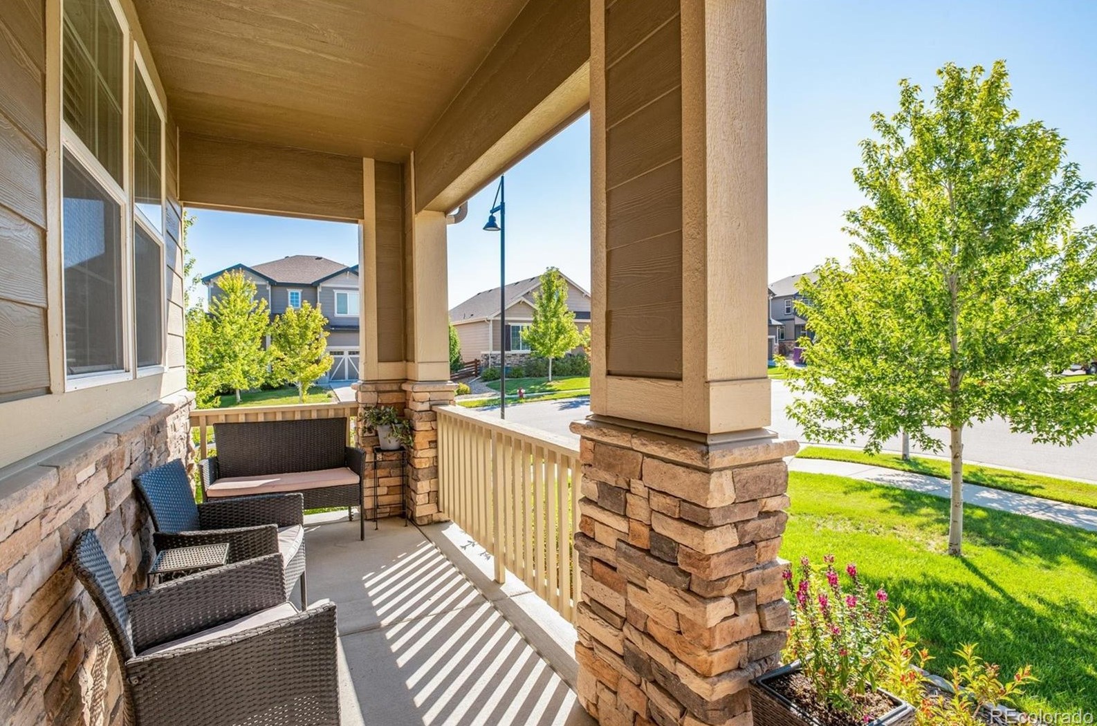 701 Sun Up Pl, Erie, CO 80516