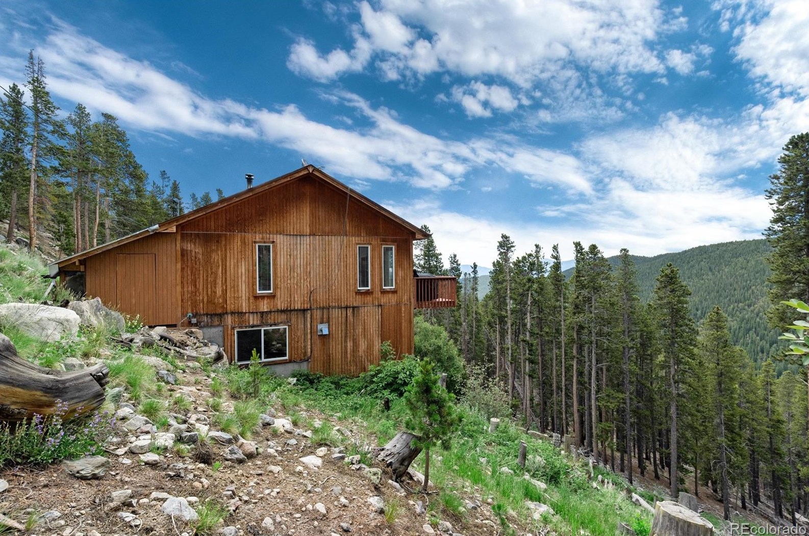 162 Vista Rd, Idaho Springs, CO 80452