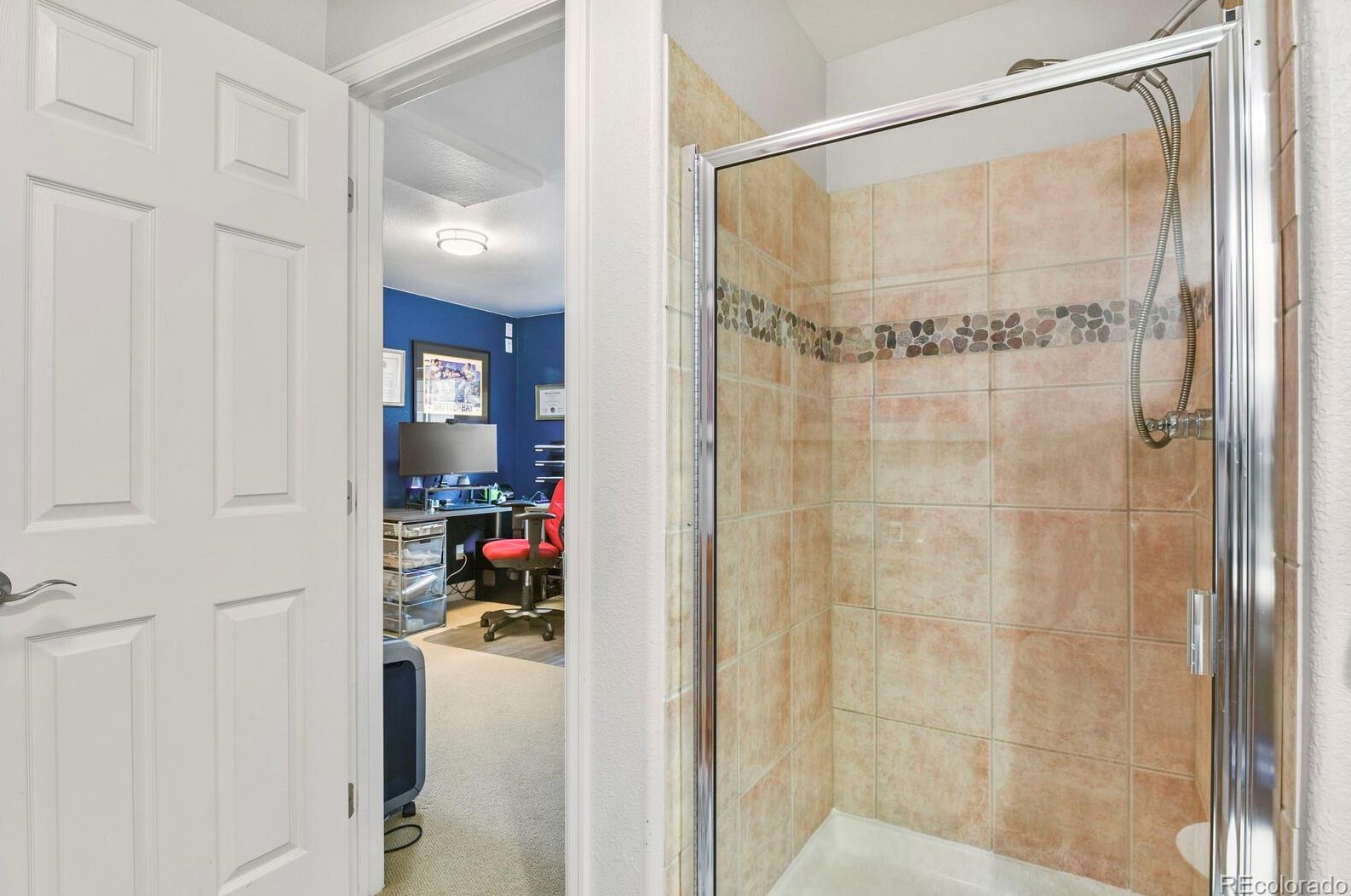 839 Deer Clover Way, Castle Rock CO 80108-8206 exterior