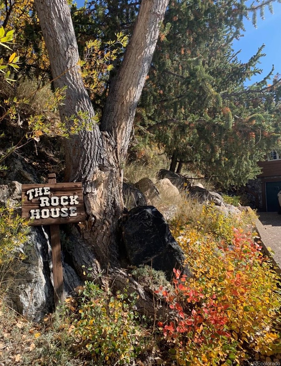 2990 Laurel Ln, Steamboat Springs, CO 80487-2094