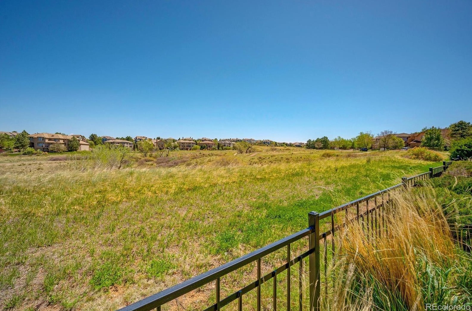 10257 Pennington Ln, Littleton CO exterior