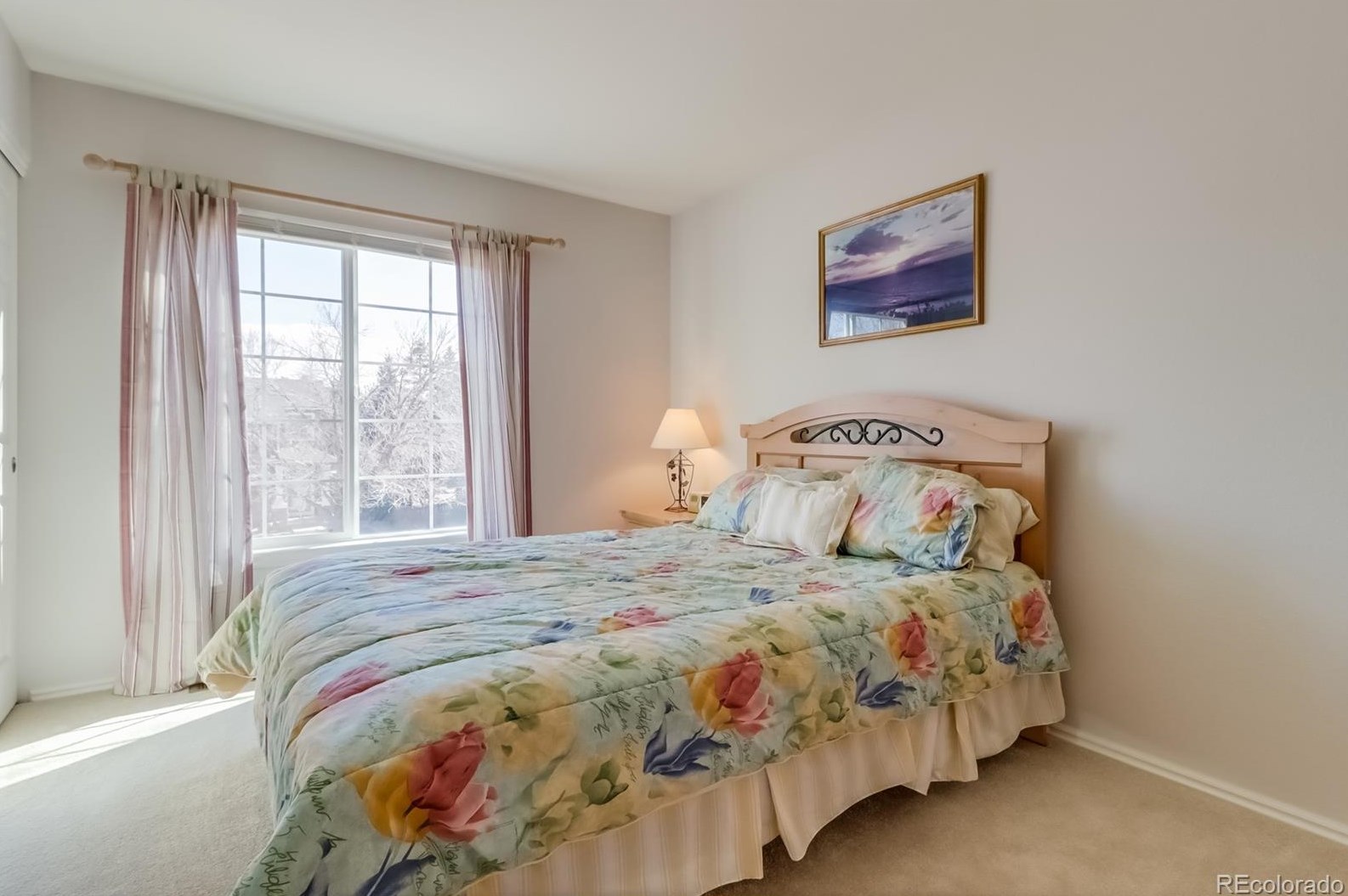 9467 Wolfe Dr, Littleton CO 80129-5764 exterior