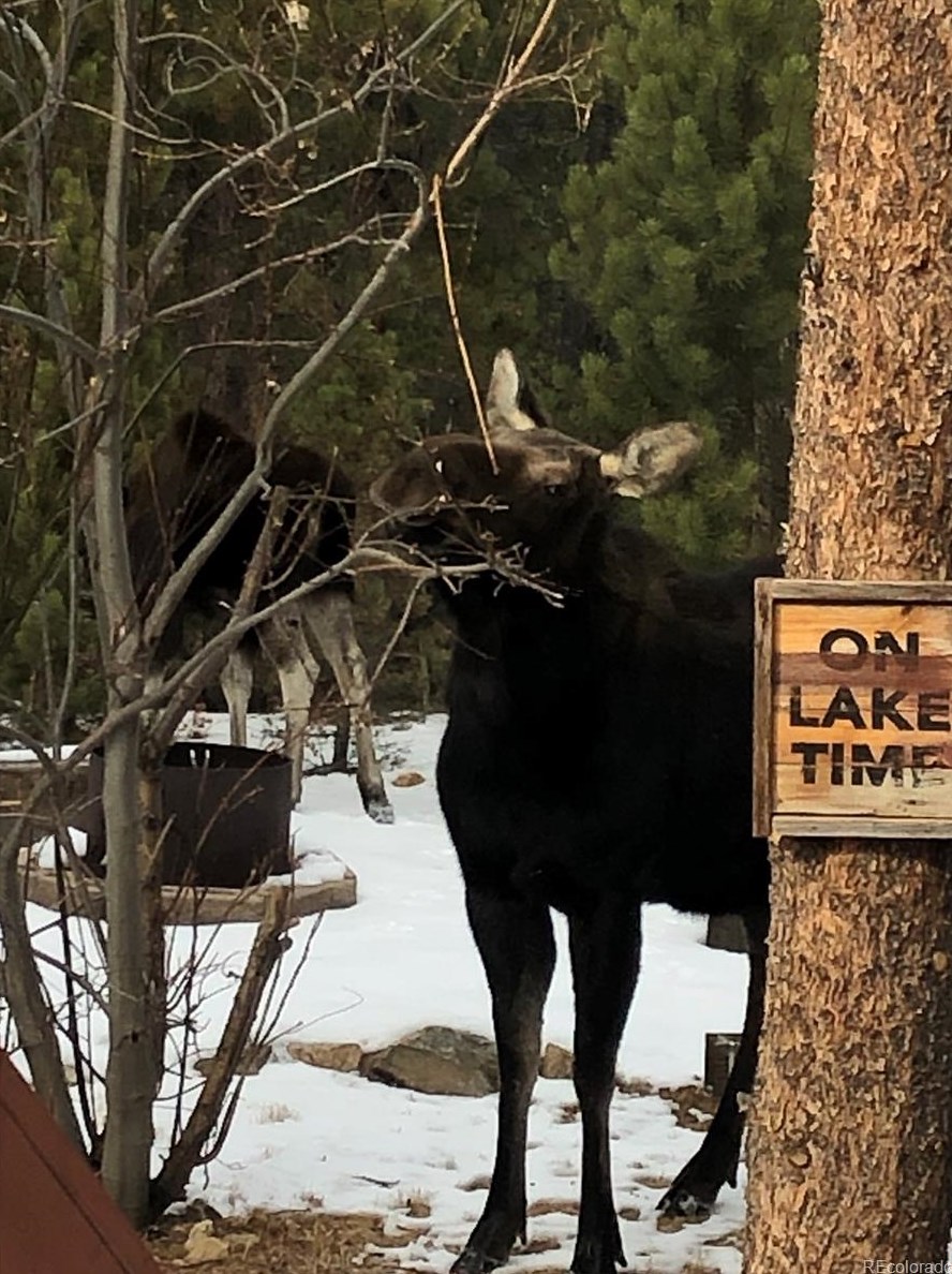 961 Lodge Pole Dr, Arvada CO  80422-8969 exterior