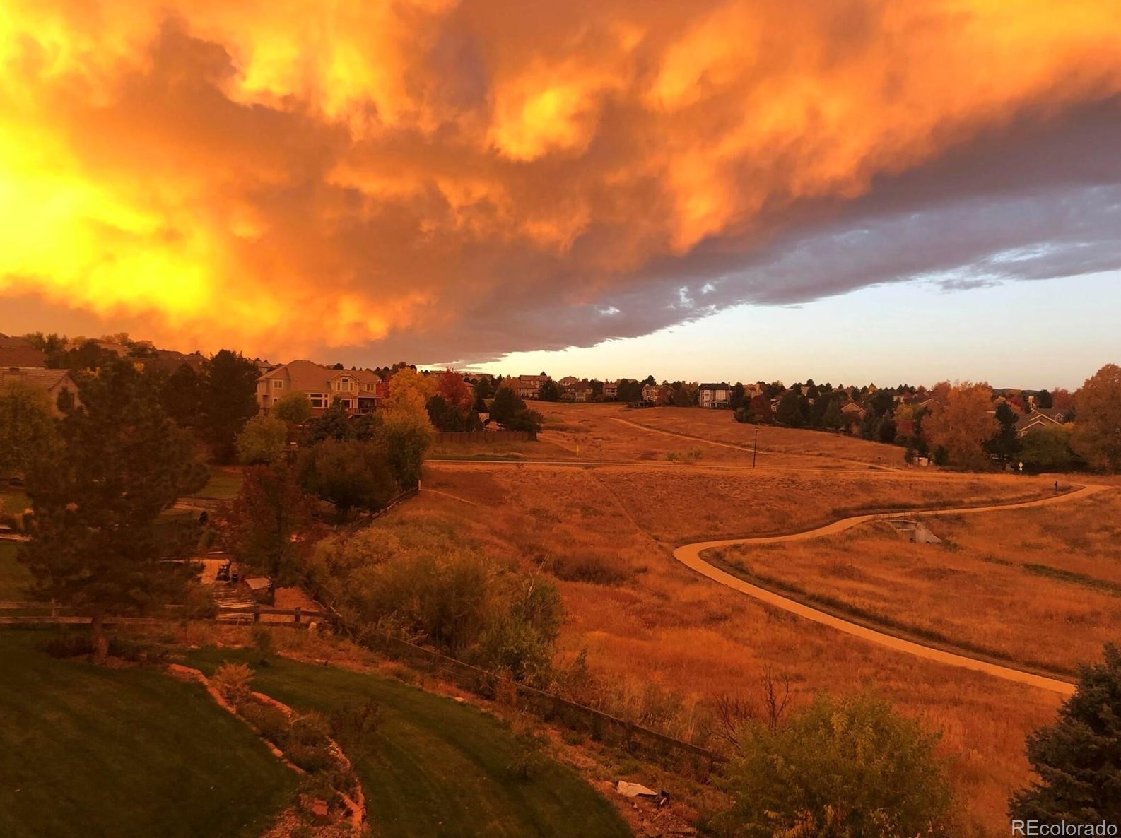 9847 Isabel Ct, Littleton CO exterior