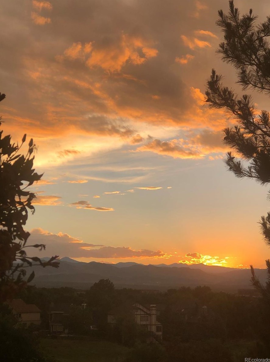 9847 Isabel Ct, Littleton CO exterior