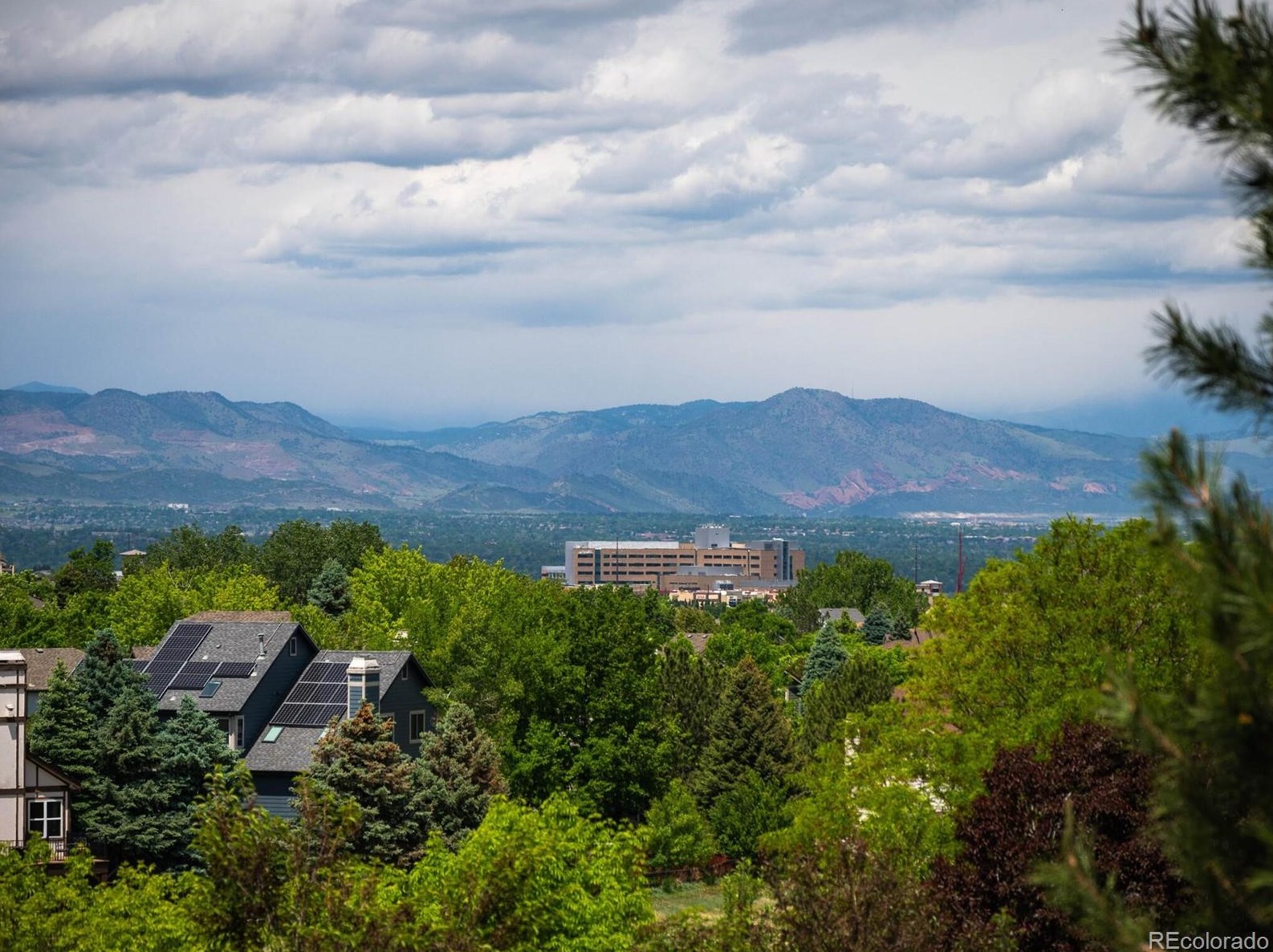 9847 Isabel Ct, Littleton CO exterior