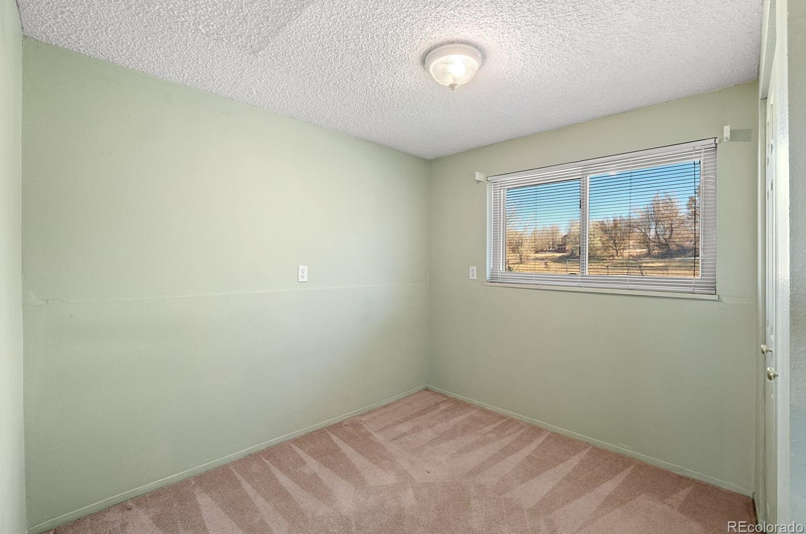 1595 Luna Vis St, Colorado Springs CO 80911-2429 exterior