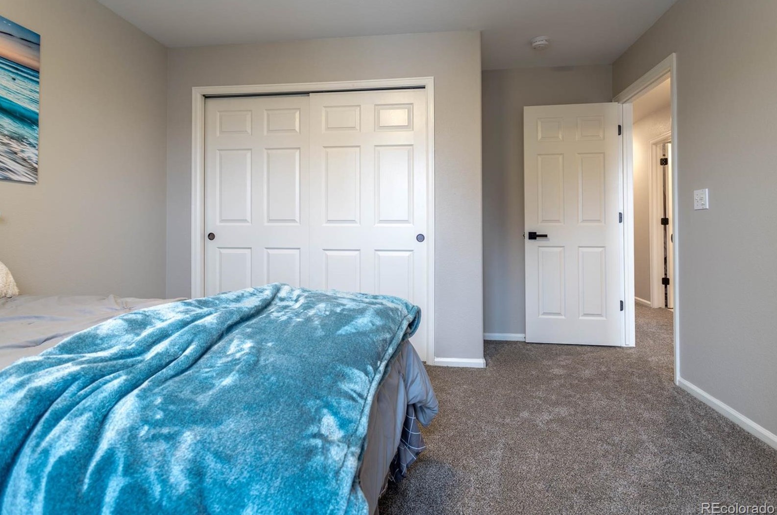 5018 Apache Crk Rd, Castle Rock CO 80109-8463 exterior