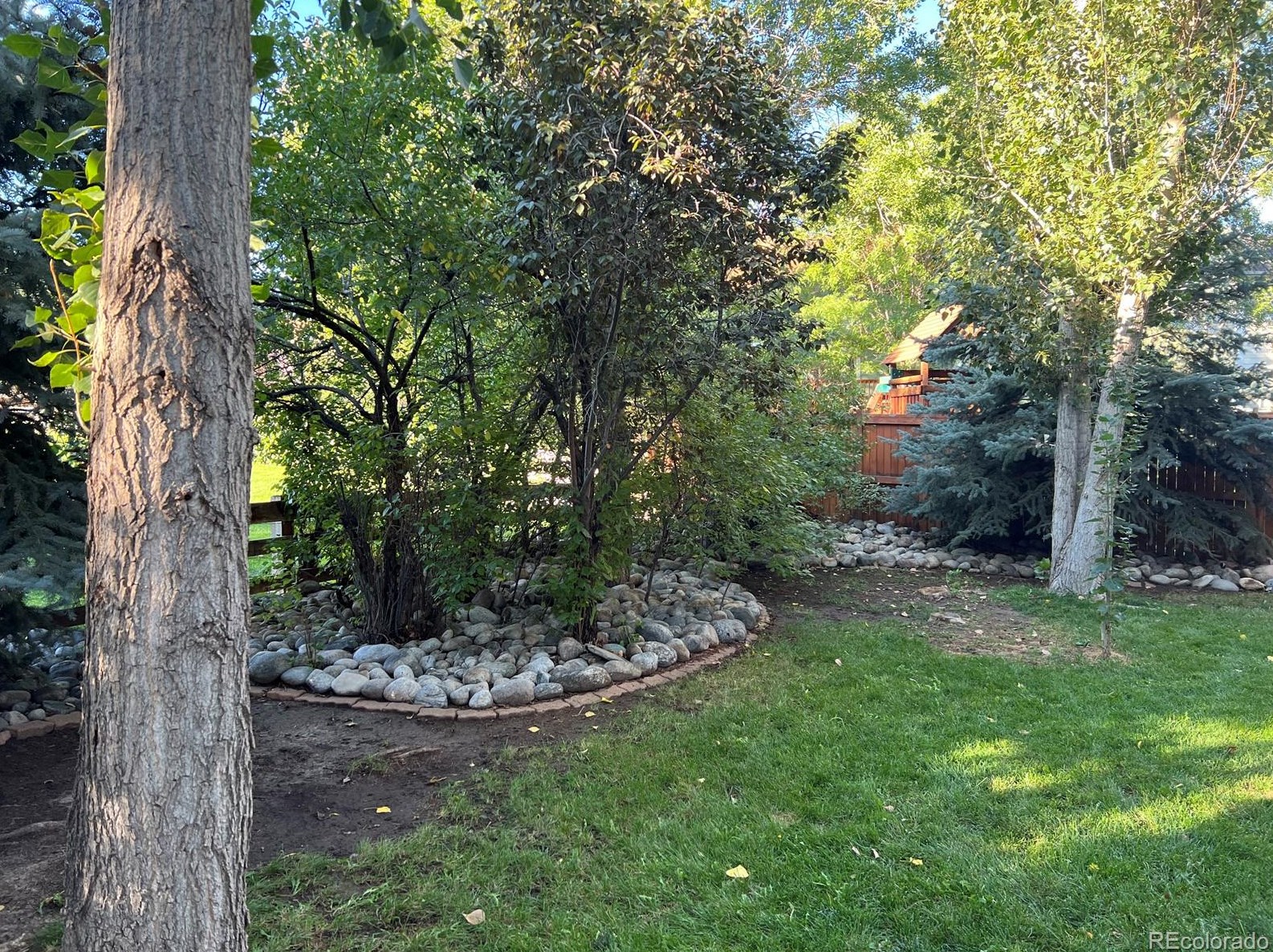 5018 Apache Crk Rd, Castle Rock CO 80109-8463 exterior