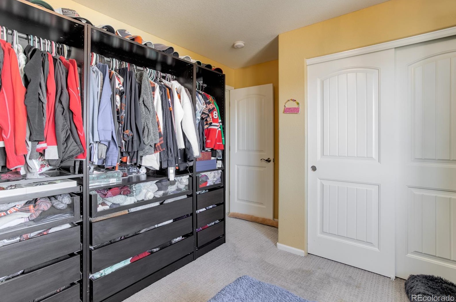 8049 Sabino Ln, Castle Rock CO  80108-9503 exterior