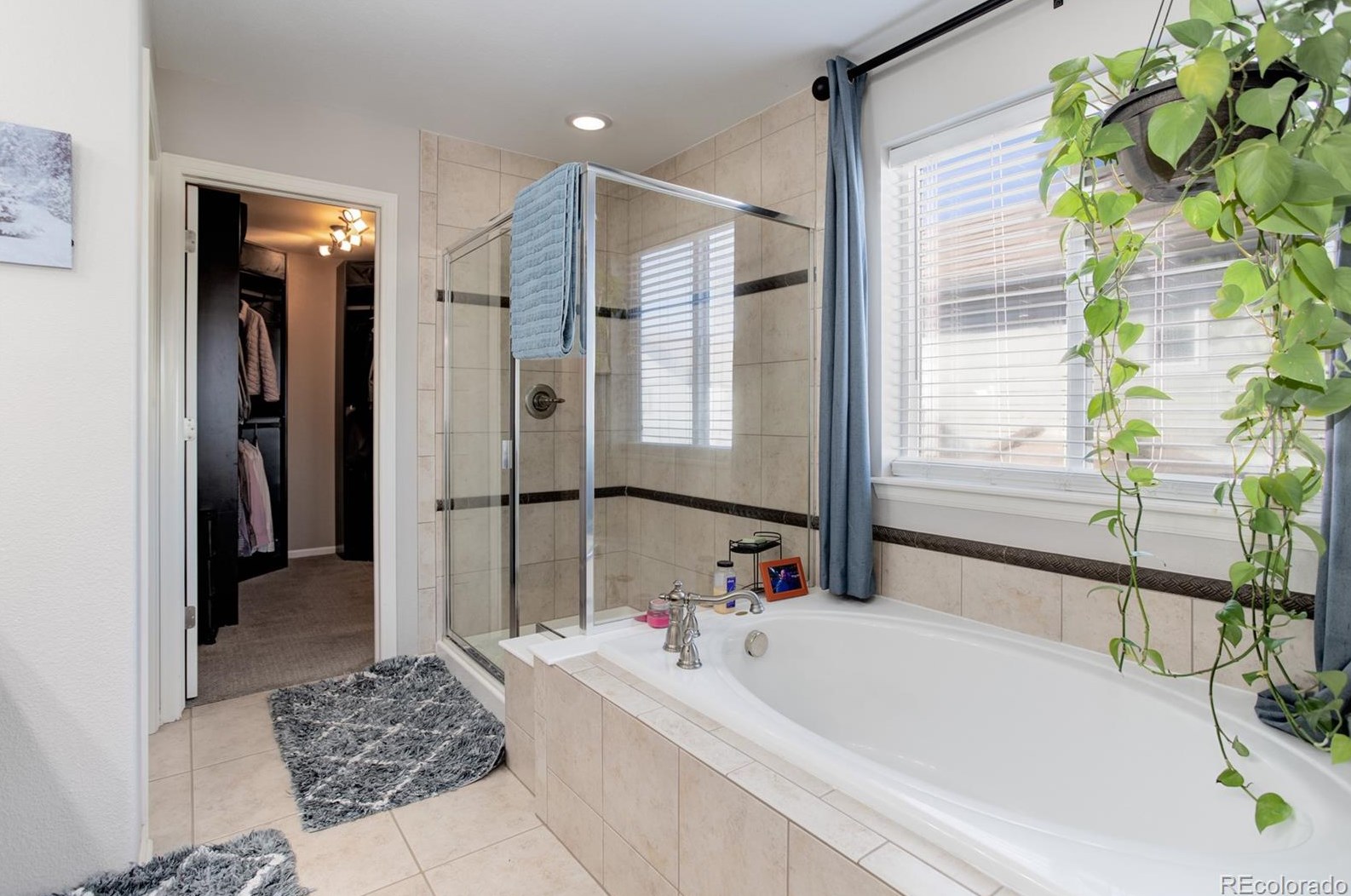 8049 Sabino Ln, Castle Rock CO  80108-9503 exterior