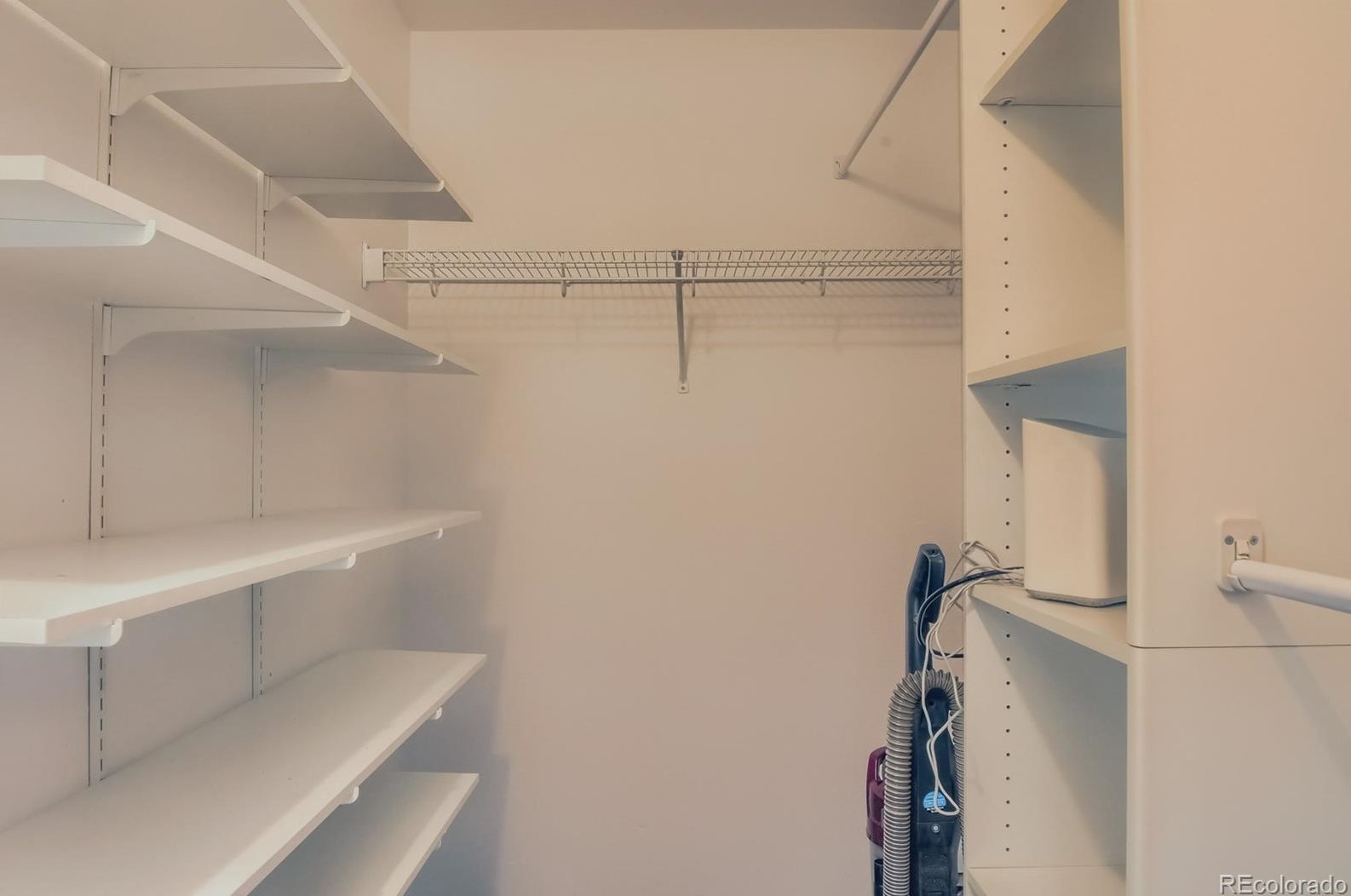 4443 Bennington Ave, Castle Rock CO 80104-8772 exterior