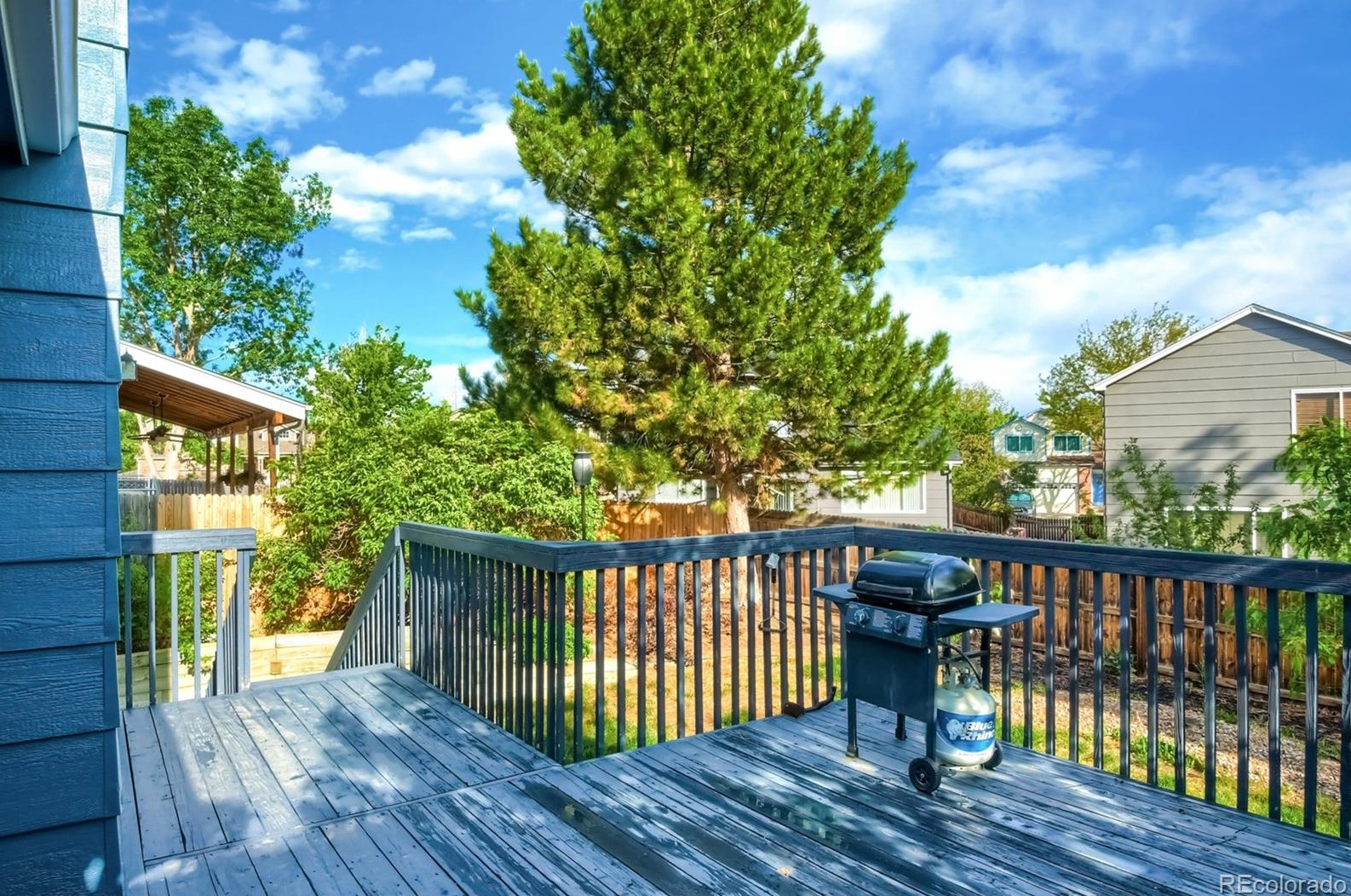 4443 Bennington Ave, Castle Rock CO 80104-8772 exterior