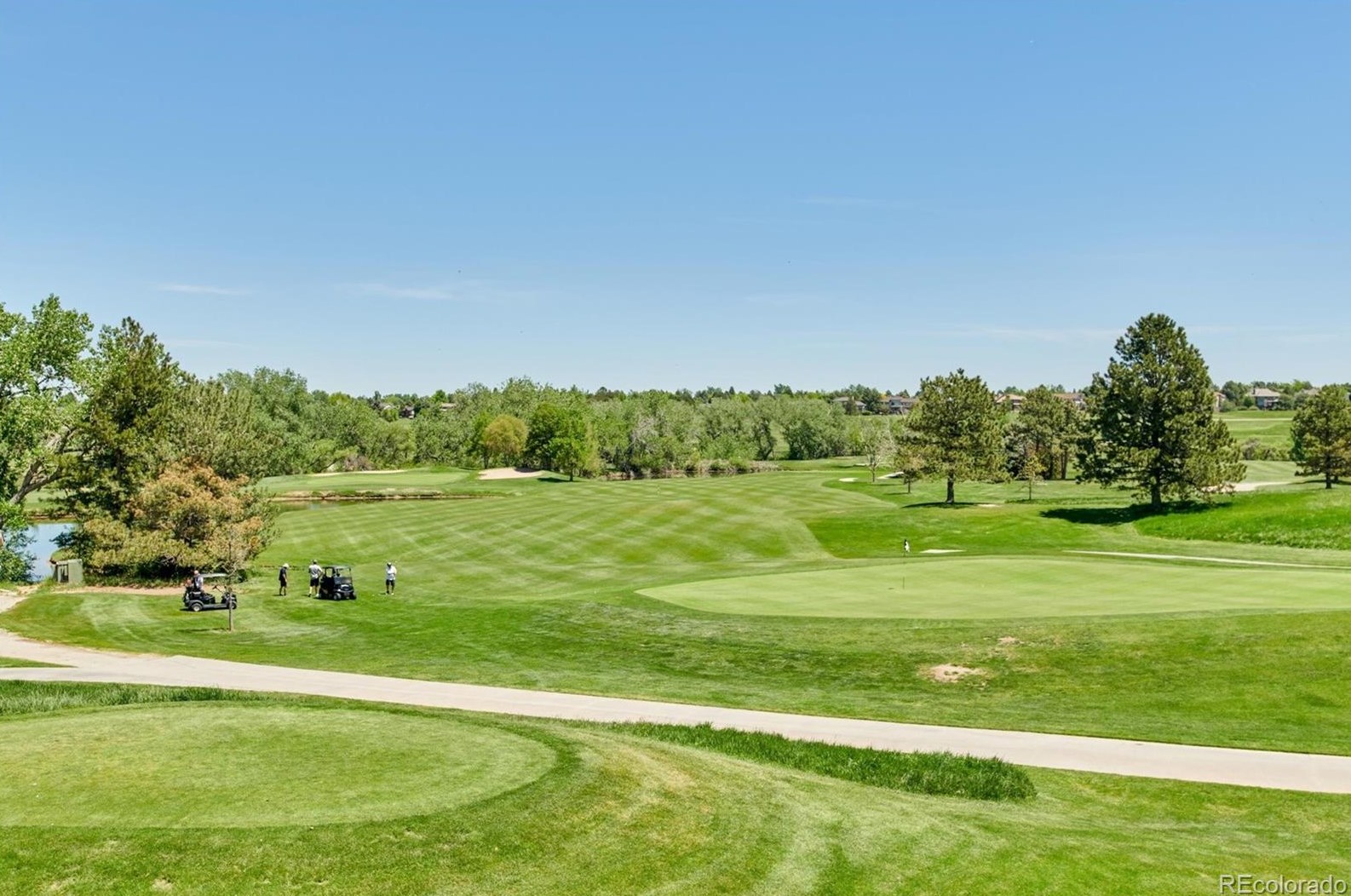 8290 Albion St, Littleton CO 80122-3909 exterior