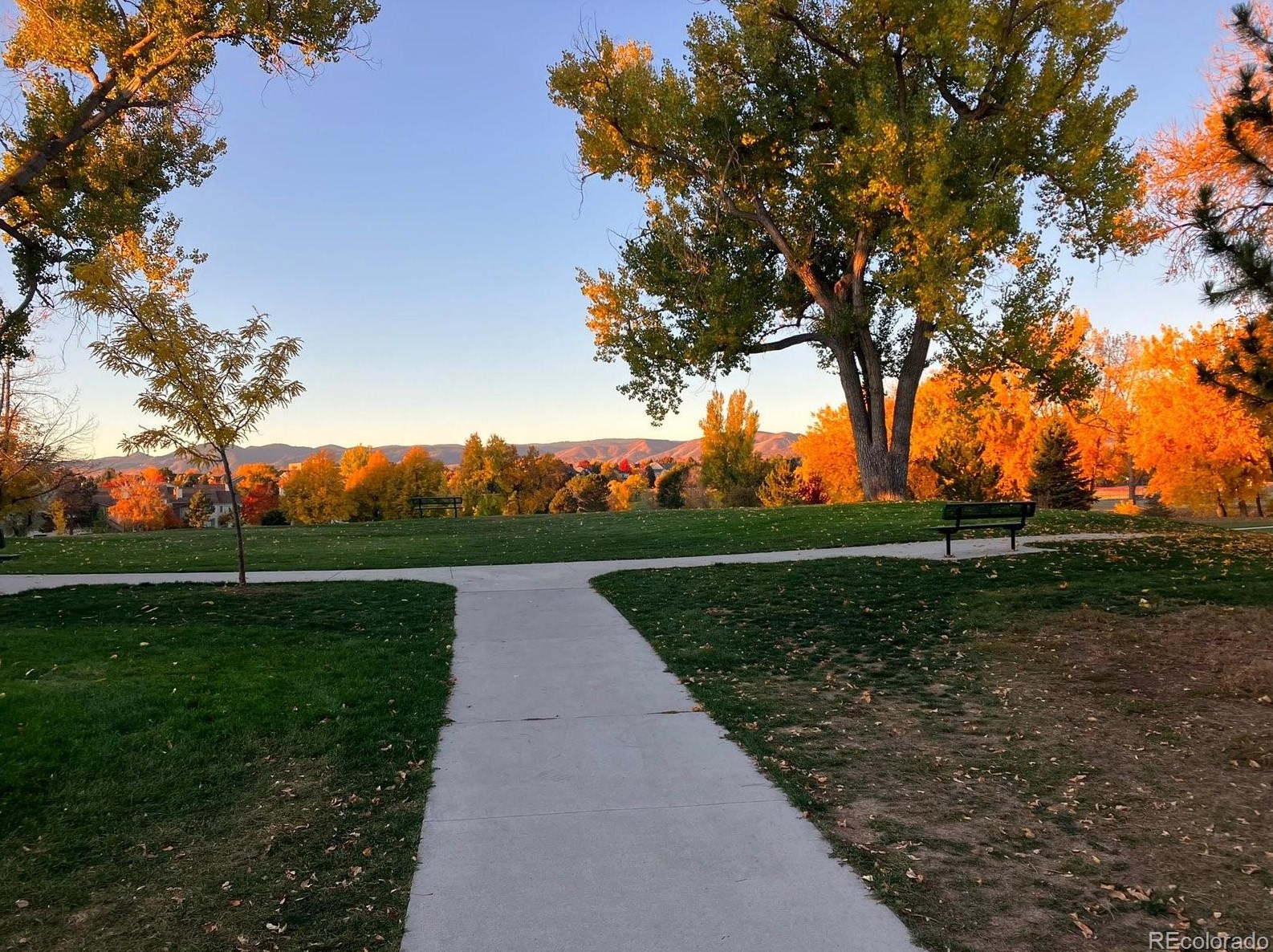 5285 Cody St, Littleton CO 80123-7319 exterior