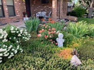 7716 Newland St, Littleton CO  80128-5743 exterior