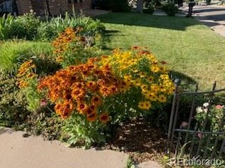 7716 Newland St, Littleton CO  80128-5743 exterior