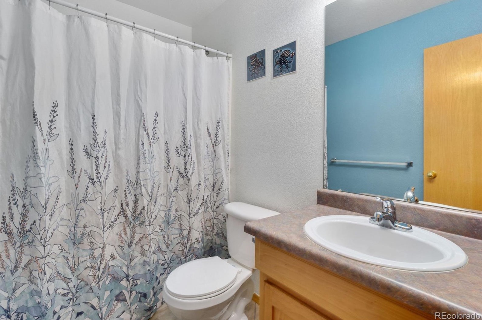 6421 Sparrow Ave, Longmont CO  80504-6551 exterior
